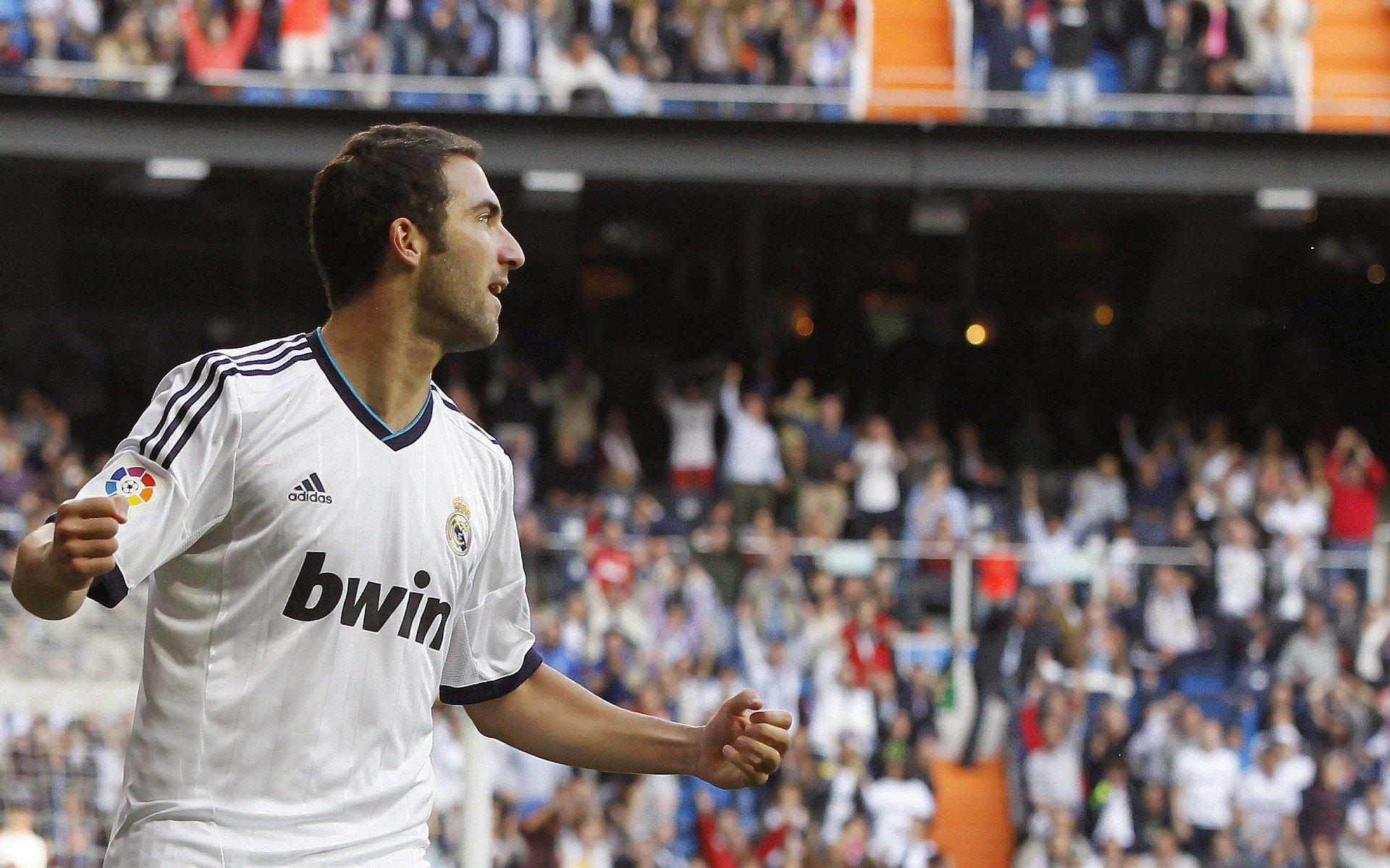 爱游戏中国官方网站平台-世界杯场地的环境保护措施，足球世界杯对场馆的要求